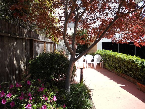 Backyard garden and shared community patio.