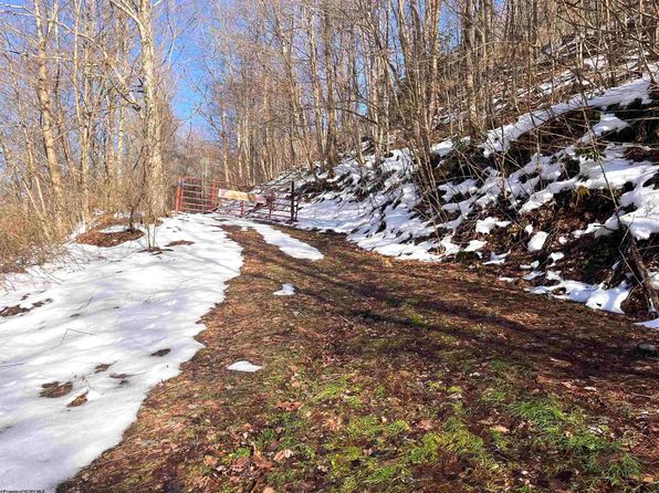 TRACT 1 Fill Hollow Rd, Tunnelton, WV 26444