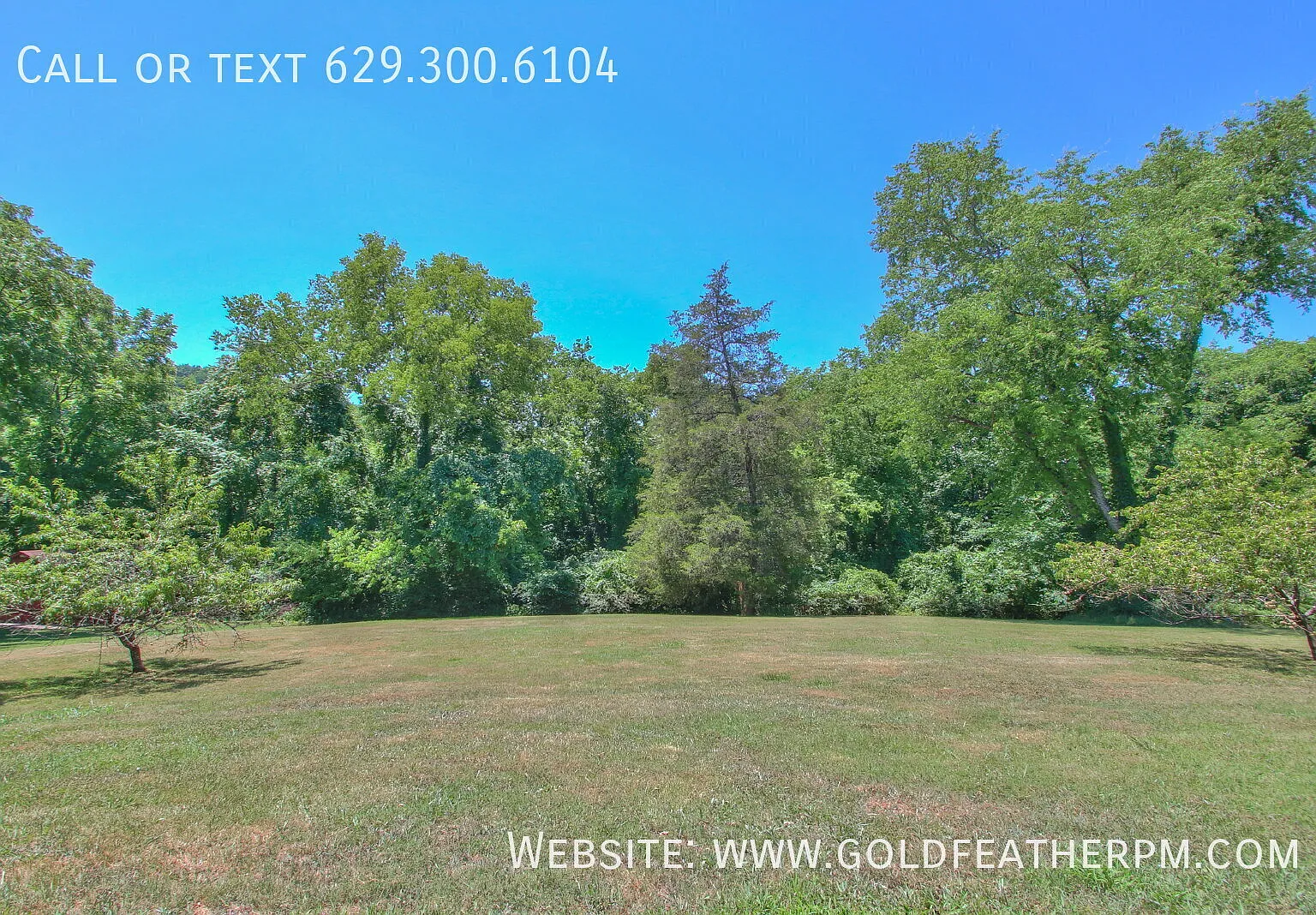 Awesome 1 Level Brick Ranch Home 1 acre Lot EZ Access to Briley Parkway EZ Commute to Nashville a... — Photo 3
