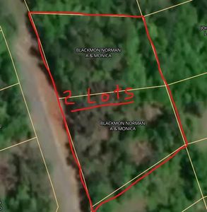 0 Moore Cir, Abbeville, AL, 36310