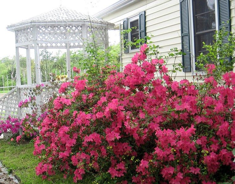 Front gazebo - one of three.