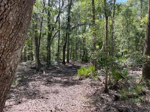 Pine Tree Ln Lot 15, Melrose, FL 32666