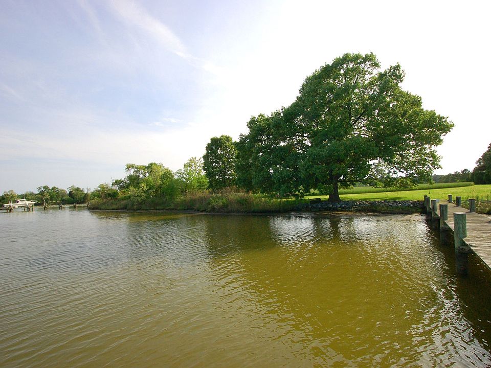 Build Your Dream Home