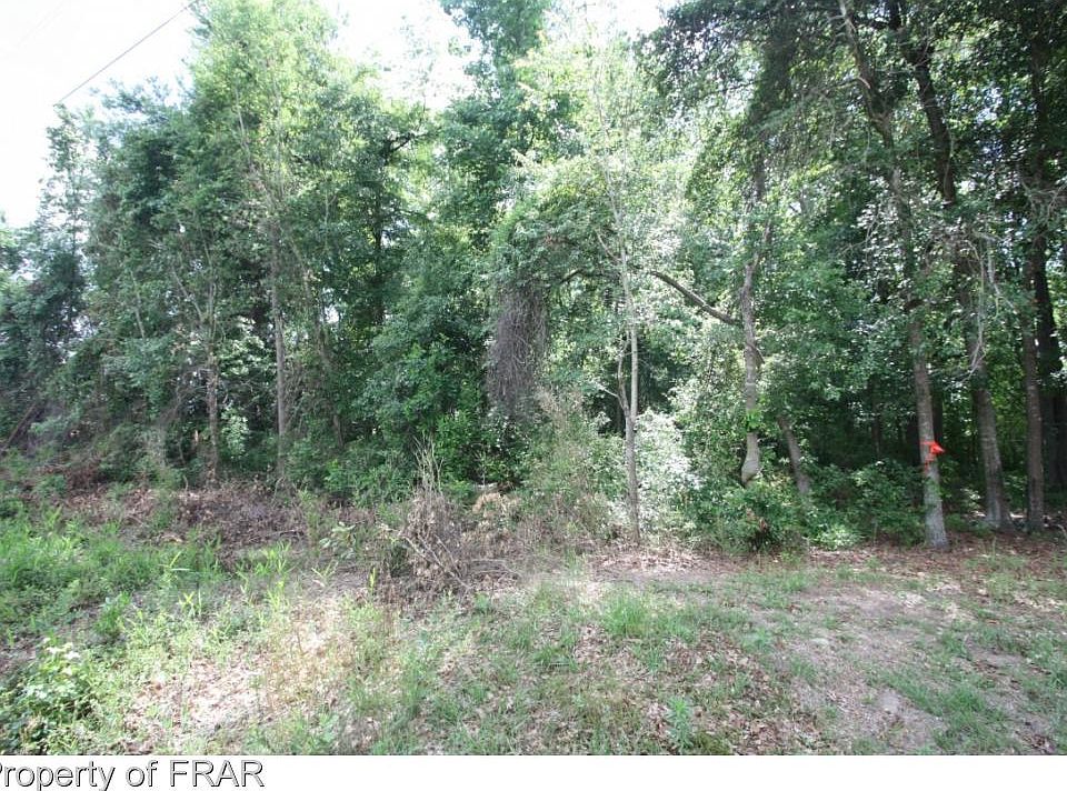 2nd image of 678 Snake Rd