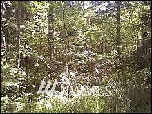 1st image of 37902 SR 706E