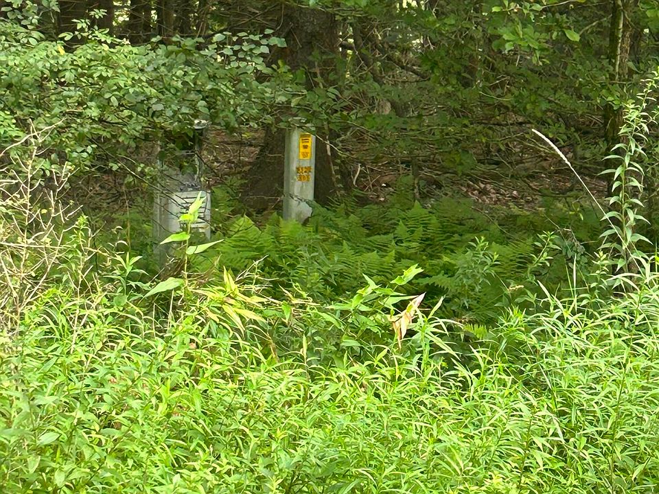 2nd image of Tylorean Rd