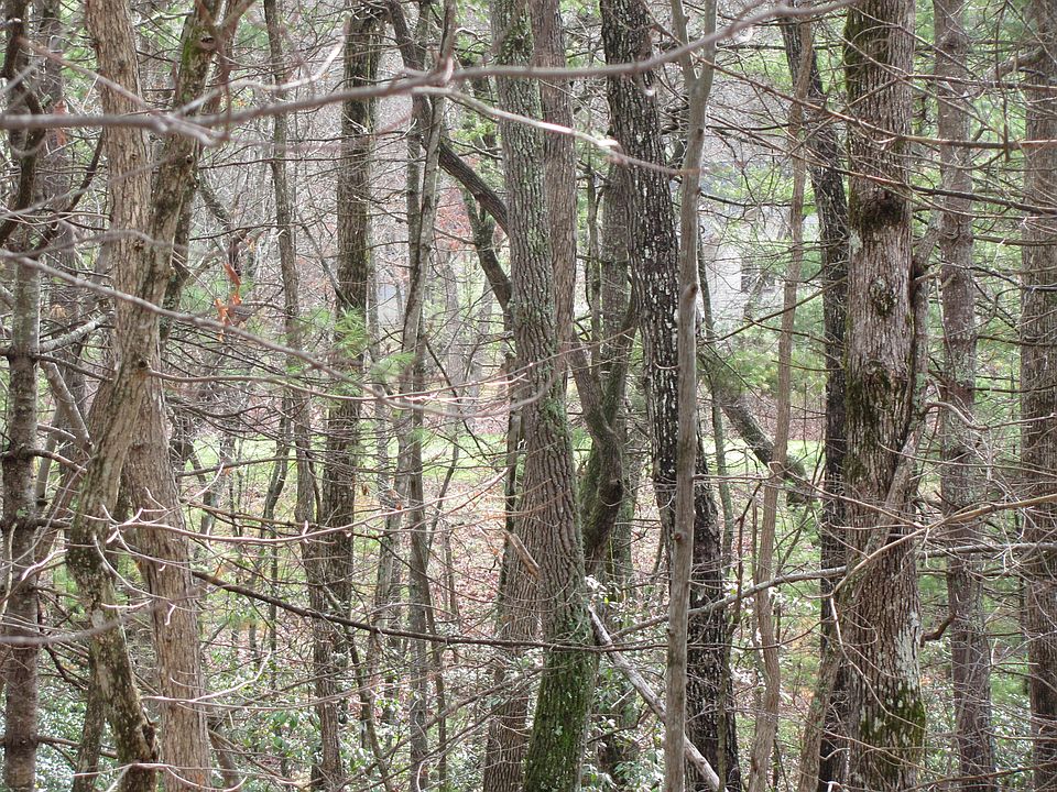 1st image of 38 Benwick Ct Lot 45