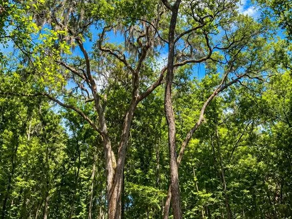 SNOW MEMORIAL, BROOKSVILLE, FL 34601