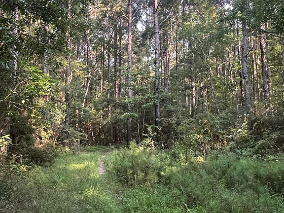 3rd image of 0 Crane Creek Rd