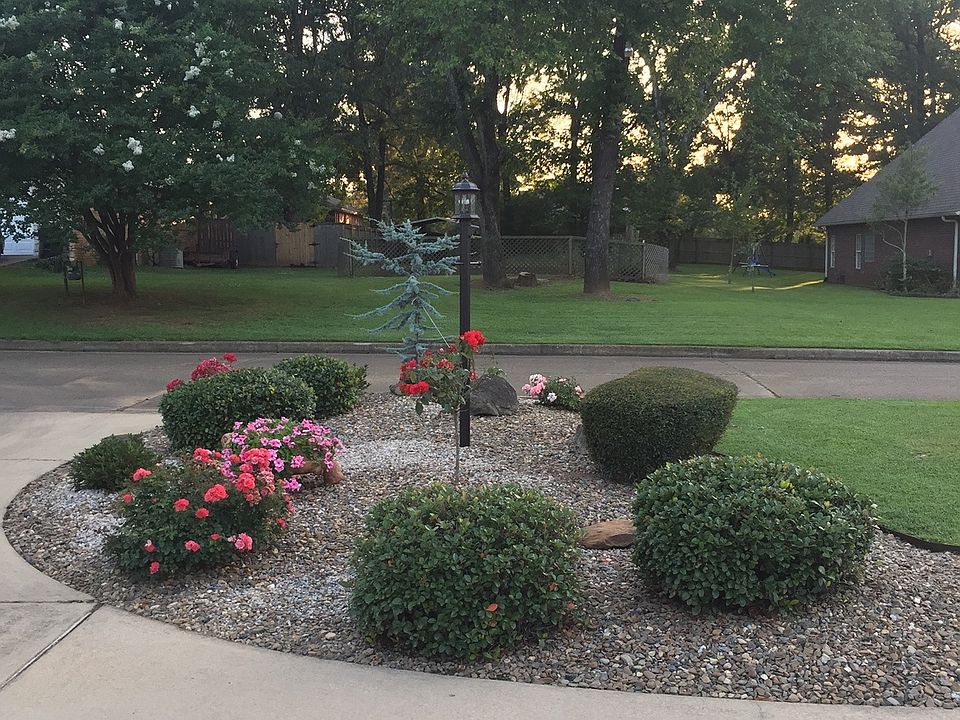 2nd image of 2106 Lovebird Ln