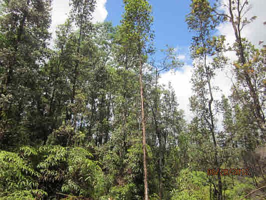 1st image of Bamboo Dr Lot 58