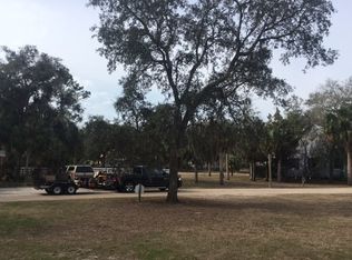 NE Ryland Cir, Steinhatchee, FL 32359