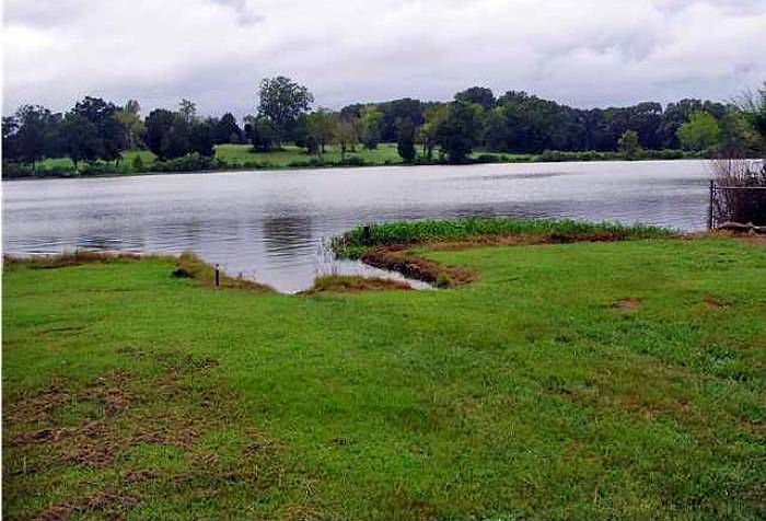 Donnegan Slough