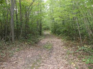 W North County Line Rd, Farwell, MI 48622