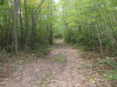 W North County Line Rd, Farwell, MI, 48622