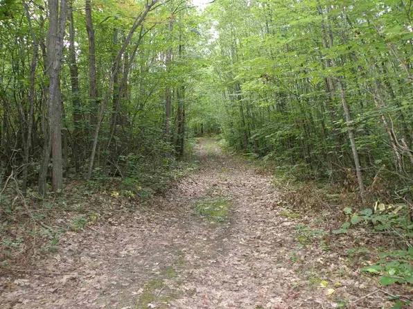 W North County Line Rd, Farwell, MI 48622