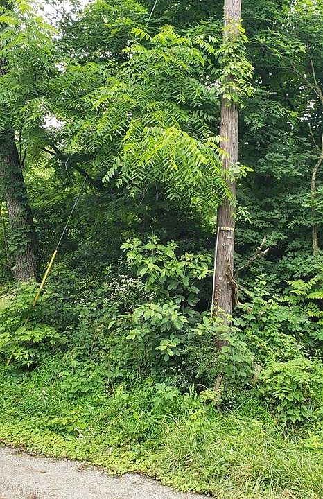 2nd image of 0 Catholic Hill Rd