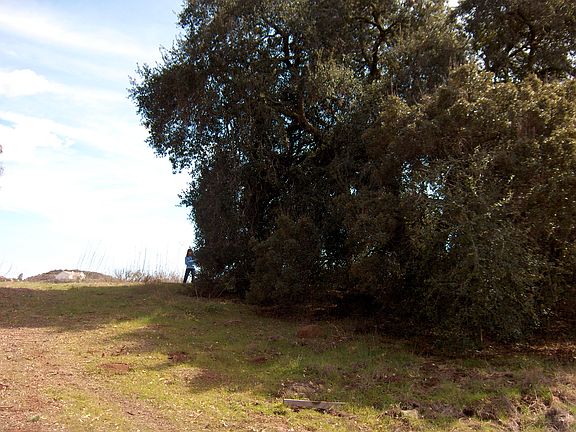 4th image of 0 Calle De Lobo