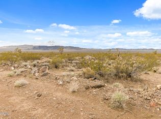 19000 N Pinto Rd #97, Willow Beach, AZ 86445