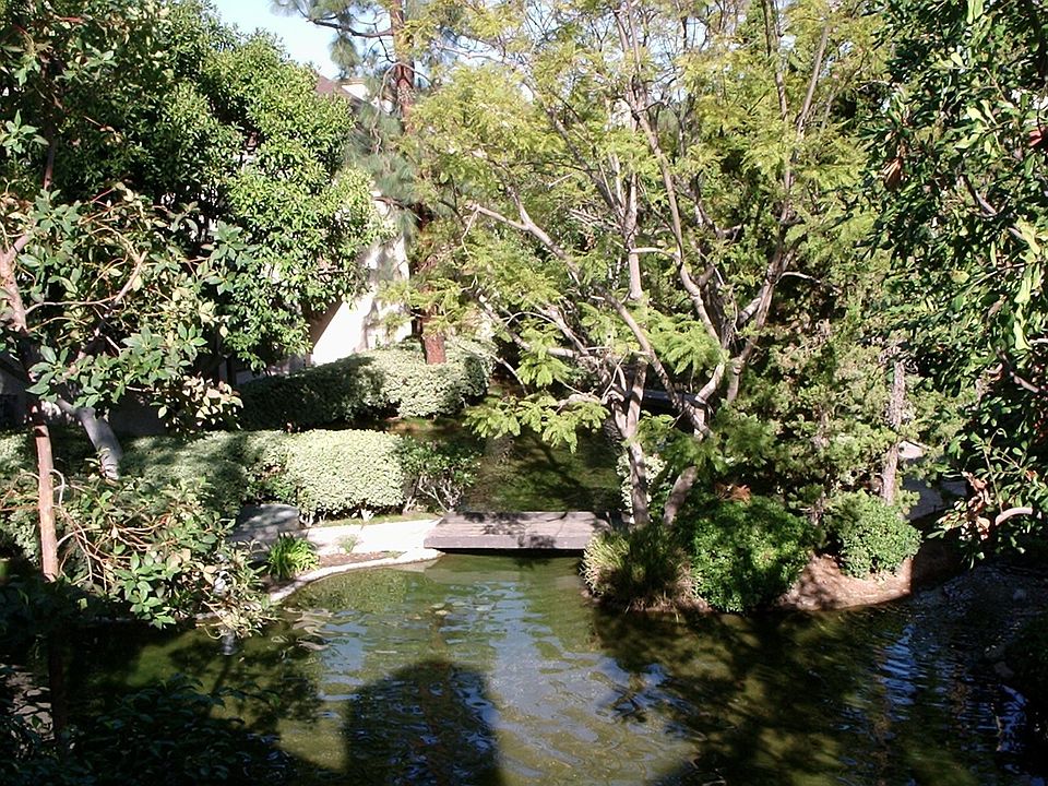 View from Balcony