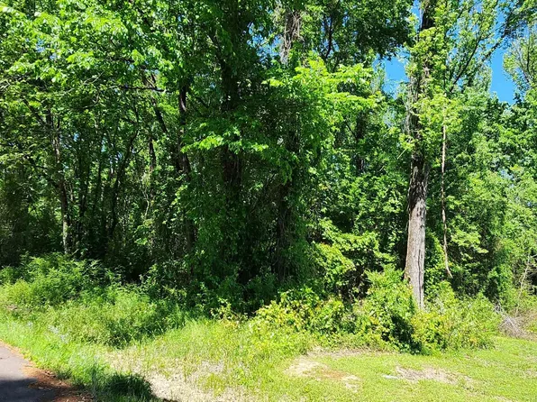 (undisclosed Address), Russellville, AR 72802
