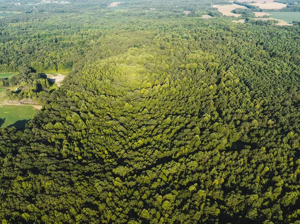 500 Ross Rd, Mc Kenzie, TN 38201