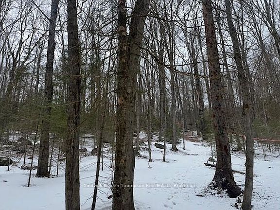 2nd image of 440 Riding Ranch Rd