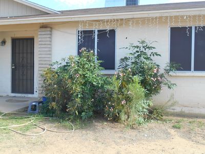 801 W Bluefield Ave, Phoenix, AZ, 85023