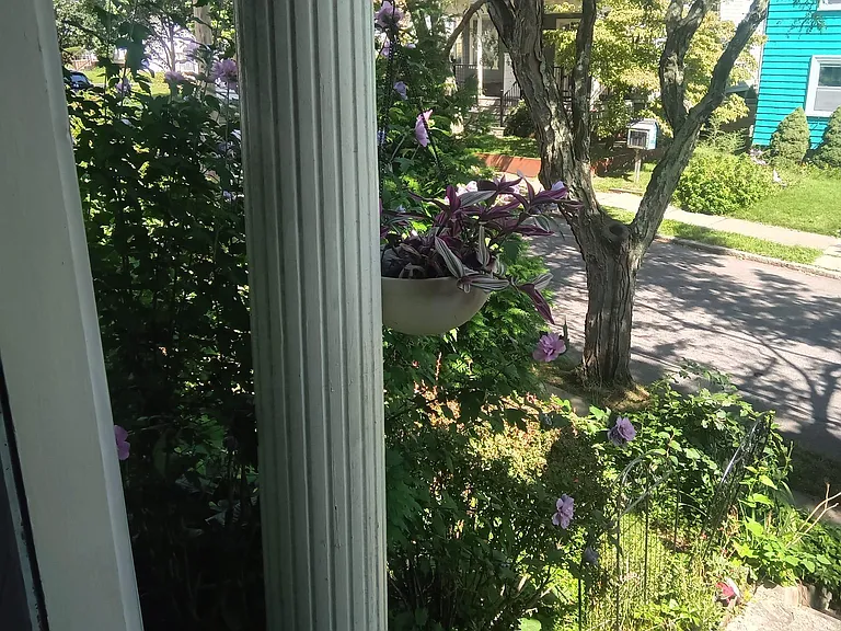 27 Ogden St #2 — Photo 84