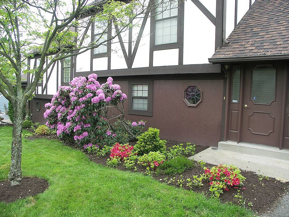 Old front with rhody bloom
