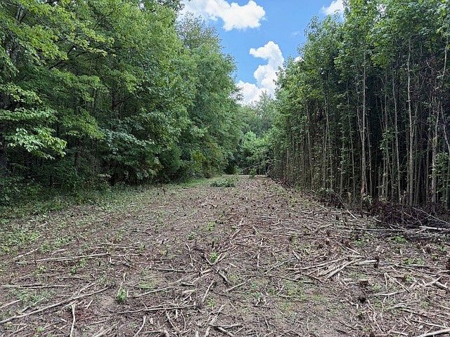 2nd image of 1897 Goforth Rd Lot 7