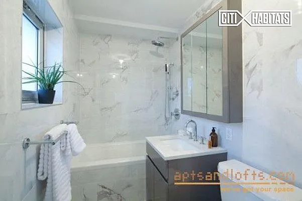 Rented by Citi Habitats | media 47