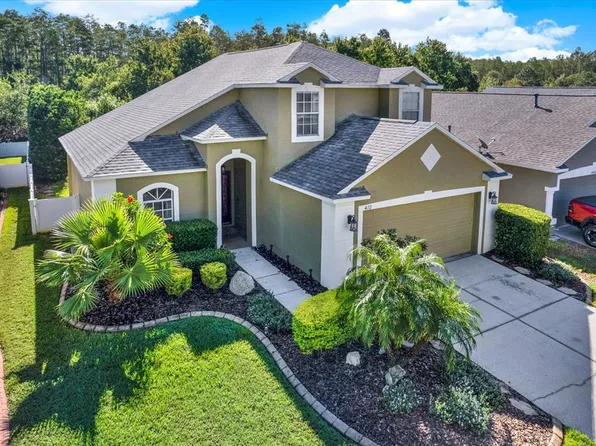4132 Marchmont Blvd, Land O Lakes, FL 34638