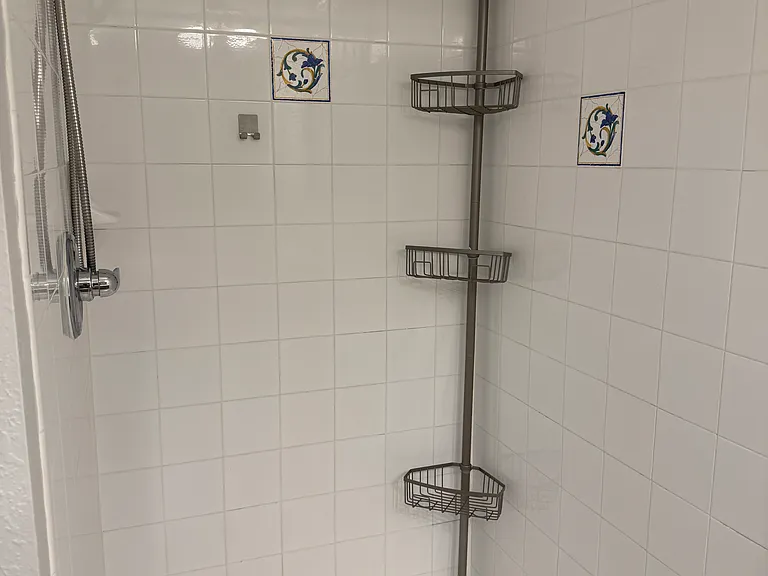 Shower primary bedroom