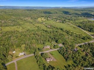 L8-111 Church Rd, Delanson, NY 12053