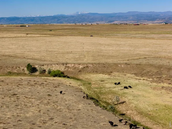 4 CR 82, Wellington, CO 80549