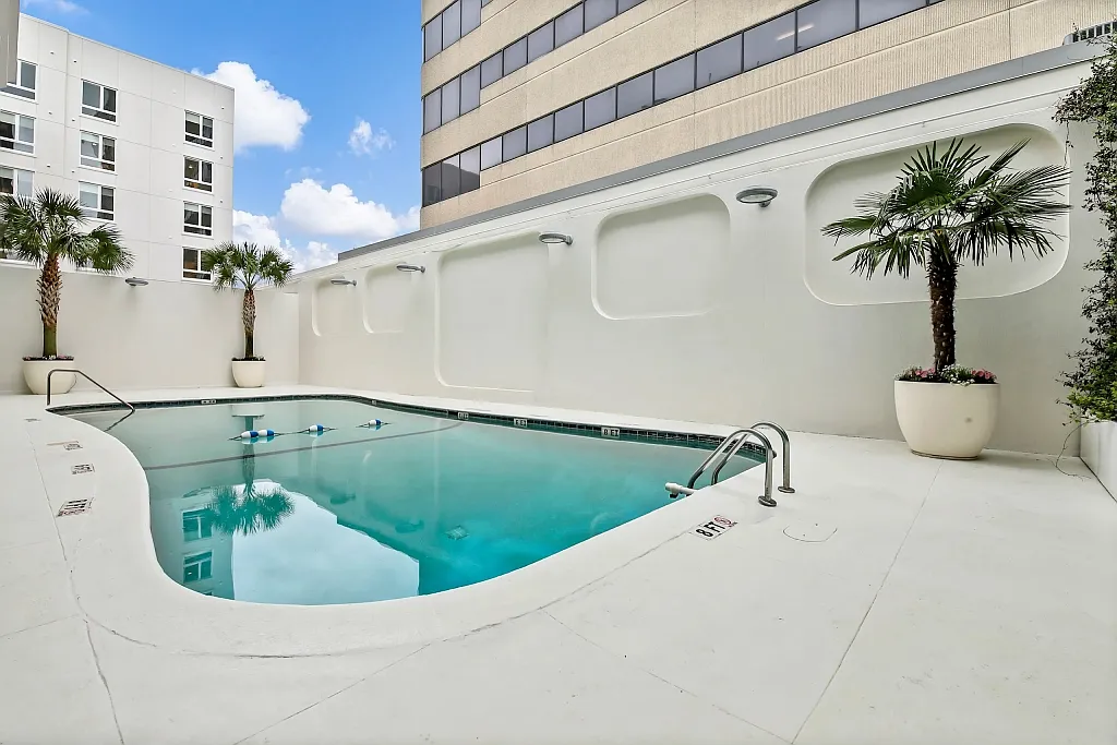 The Palms on Main — Photo 3