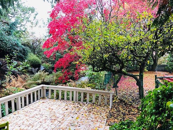 The relaxing deck over creek