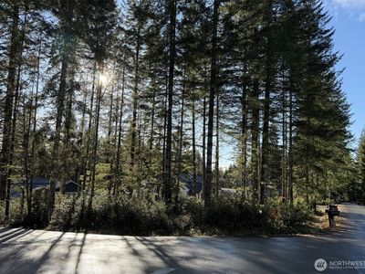 0 Blackberry Lane, Union, WA, 98592