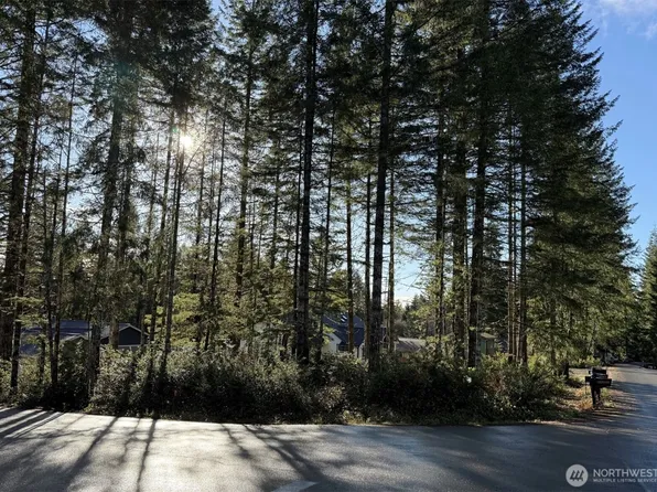 0 Blackberry Lane, Union, WA 98592