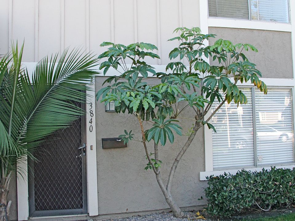 1st image of 3840 Bixby Dr