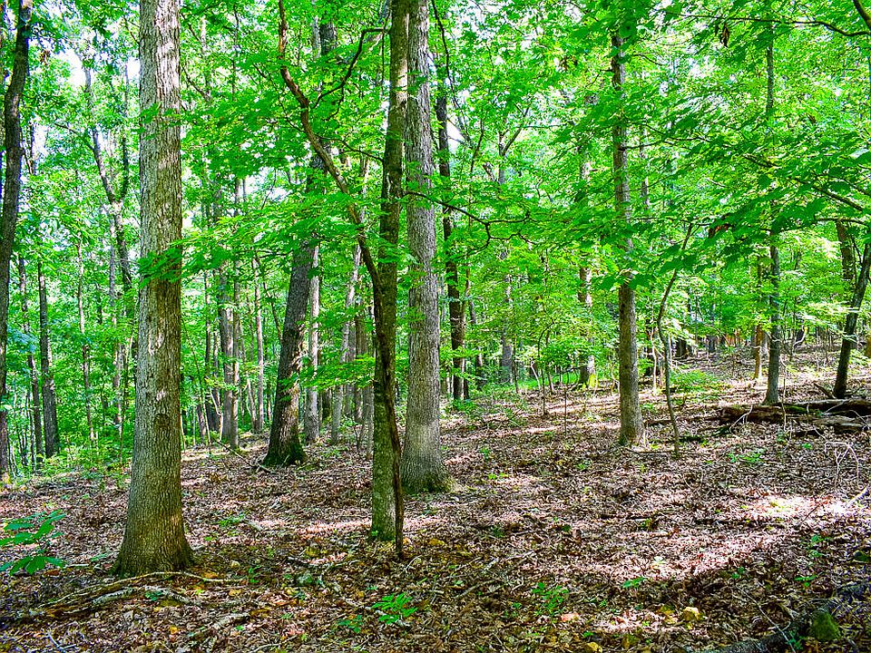 000 Autumn Estates Subdivision Lots 2527, Cassville, MO 65625 MLS