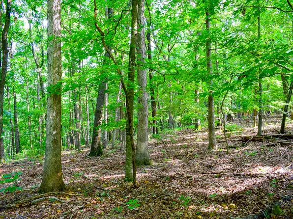 000 Autumn Estates Subdivision Lots 26-27, Cassville, MO 65625