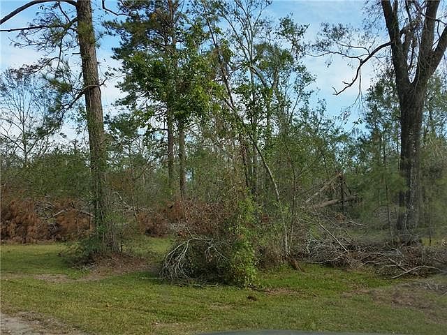 2nd image of 556 Briar Marsh Rd