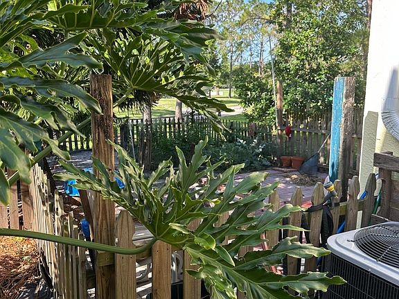 5th image of 5115 Northdale Blvd #5115