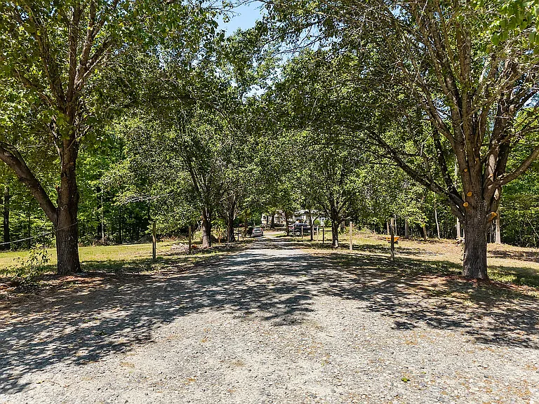 290 Thomas Cash Rd — Photo 19