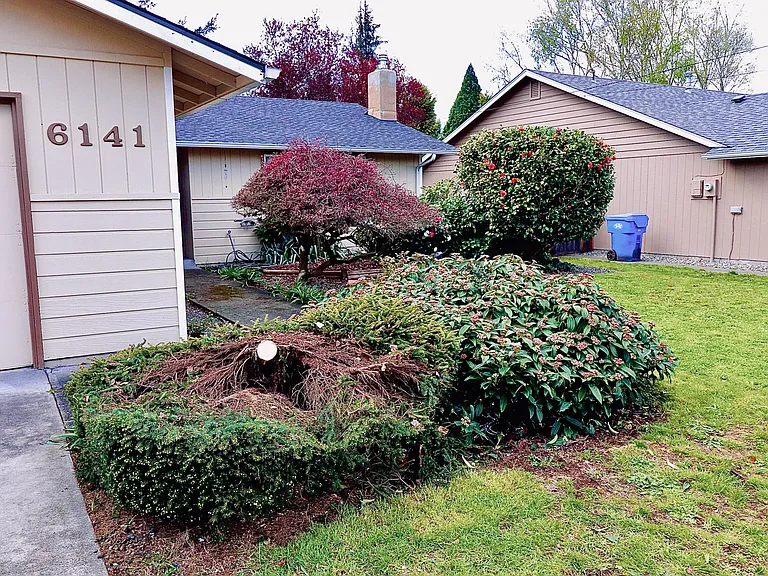 6141 Cotton Dr SE — Photo 19