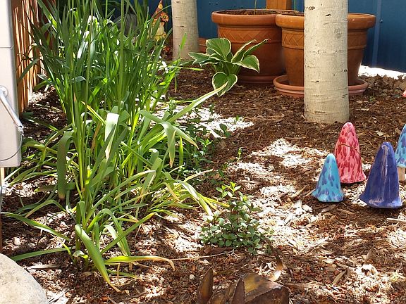 Courtyard in the spring
