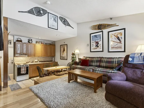 8 Fall Line Drive #N-208, Newry, ME 04261