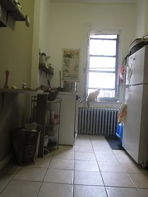 Rented by Urban Pads | media 52